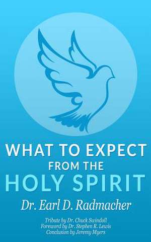 What to Expect from the Holy Spirit