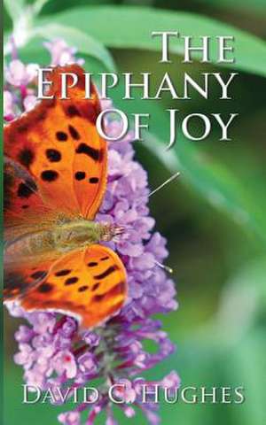 The Epiphany of Joy de David C. Hughes