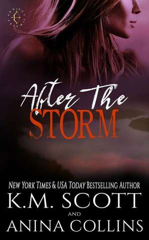 After the Storm de Anina Collins