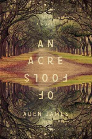 An Acre of Fools de Aden James