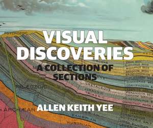 Visual Discoveries: A Collection of Sections de Allen Keith Yee