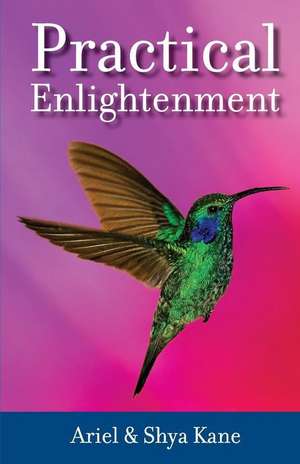 Practical Enlightenment de Ariel and Shya Kane