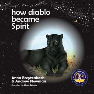 How Diablo Became Spirit de Andrew Sam Newman