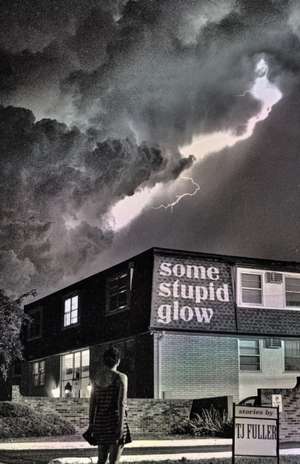 Some Stupid Glow de Tj Fuller