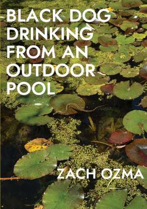 Black Dog Drinking from an Outdoor Pool de Zach Ozma