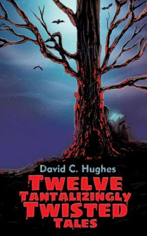 Twelve Tantalizingly Twisted Tales de David C. Hughes