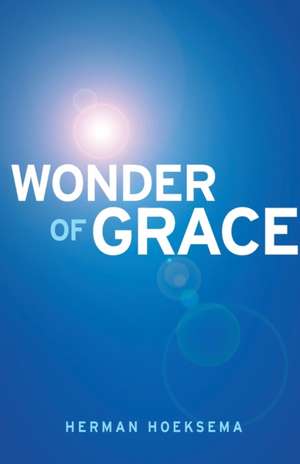 Wonder of Grace de Herman Hoeksema