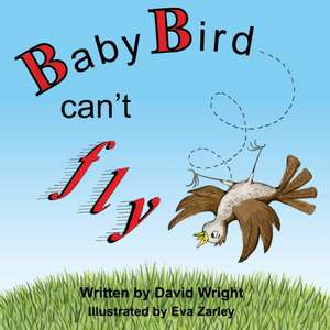 Baby Bird Can't Fly de David Wright