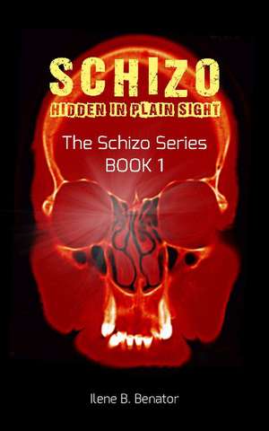 Schizo: Hidden in Plain Sight de Ilene B Benator