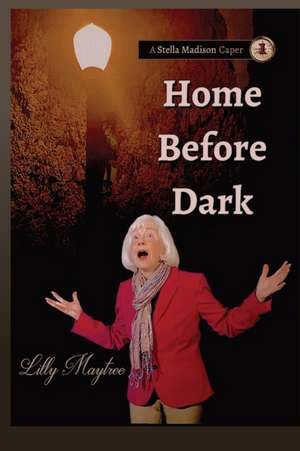 Home Before Dark de Lilly Maytree