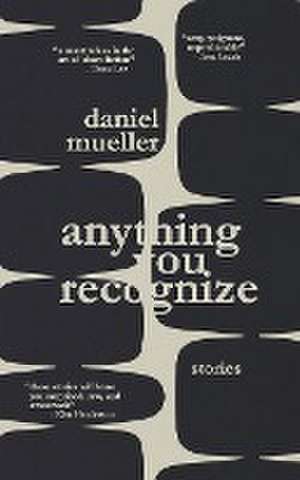 Anything You Recognize de Daniel Mueller