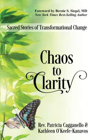 Chaos to Clarity de Rev. Patricia Cagganello