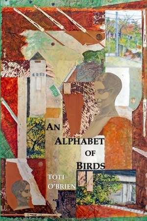 An Alphabet of Birds de Toti O'Brien