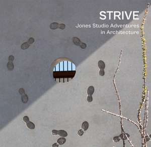 STRIVE de Marilu Knode