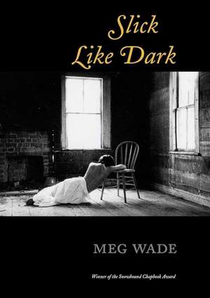 Slick Like Dark de Meg Wade