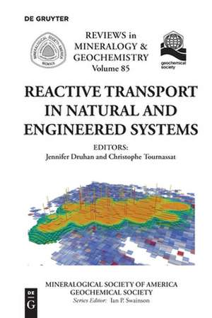 Reactive Transport in Natural and Engineered Systems de Jennifer Druhan