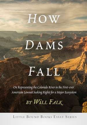 How Dams Fall de Will Falk