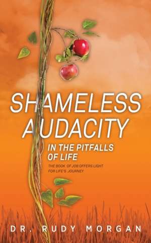 Shameless Audacity: In the Pitfalls of Life de Rudy Morgan