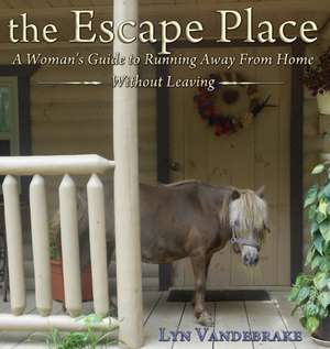 the Escape Place de Lyn Vandebrake