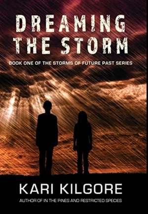 Dreaming the Storm de Kari Kilgore