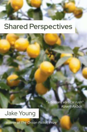 Shared Perspectives de Jake Young