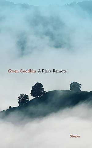 A Place Remote: Stories de Gwen Goodkin