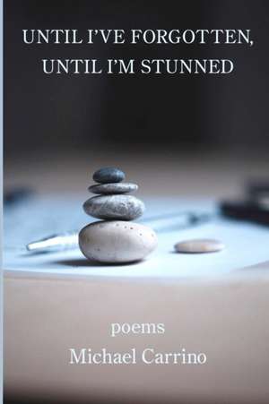 Until I've Forgotten, Until I'm Stunned de Michael Carrino