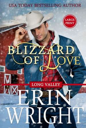 Blizzard of Love de Erin Wright