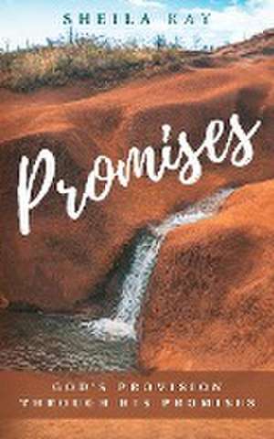 Promises: God's Provision through His Promises de Sheila Kay