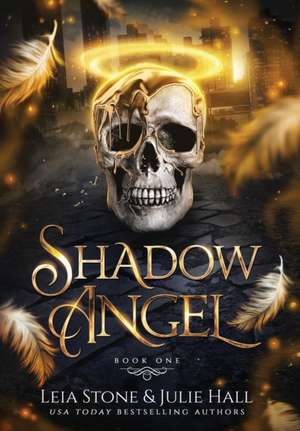 Shadow Angel de Leia Stone