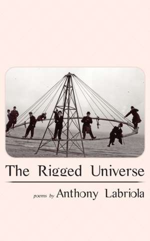 The Rigged Universe de Anthony Labriola