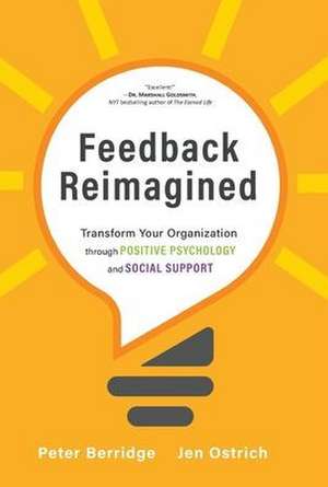 Feedback Reimagined de Peter Berridge