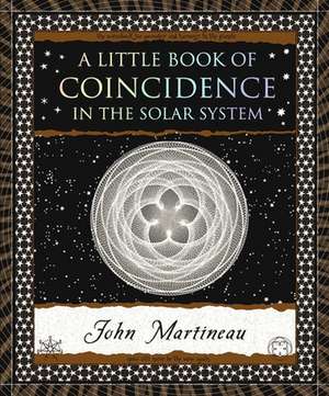 A Little Book of Coincidence de John Martineau