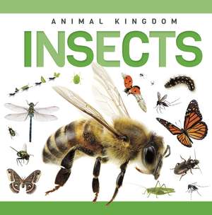 Insects de Rebecca Phillips-Bartlett