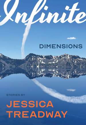 Infinite Dimensions: Stories de Jessica Treadway