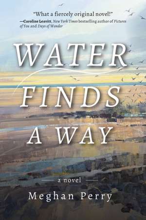 Water Finds a Way a Novel de Meghan Perry