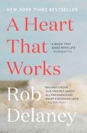 A Heart That Works de Rob Delaney