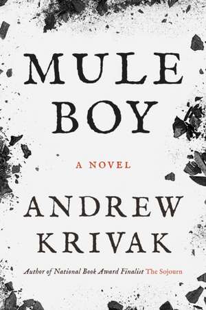 Mule Boy de Andrew Krivak
