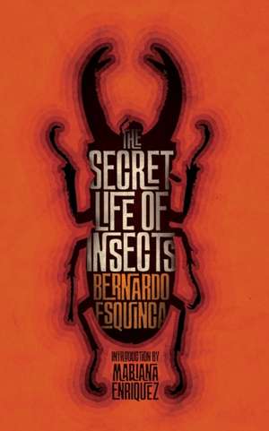 The Secret Life of Insects and Other Stories de Bernardo Esquinca