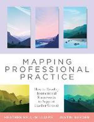 Mapping Professional Practice de Heather Bell-Williams