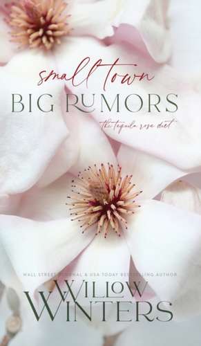 Small Town Big Rumors de Willow Winters