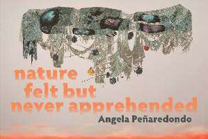 Nature Felt But Never Apprehended de Angela Peñaredondo