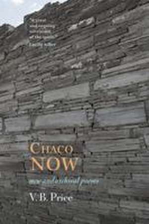 Chaco Now de V. B. Price