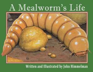 A Mealworm's Life de John Himmelman