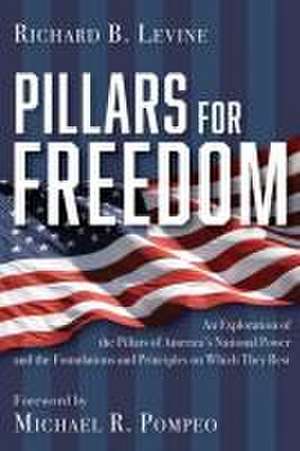 Pillars for Freedom de Richard B Levine