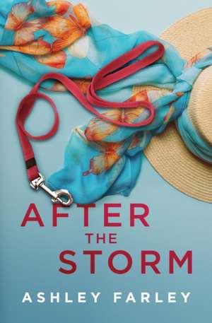 After the Storm de Ashley Farley