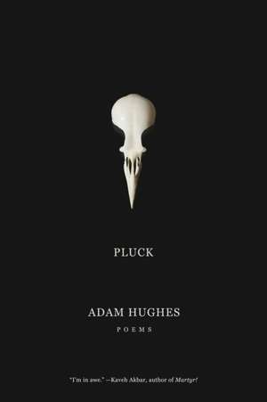 Pluck de Adam Hughes