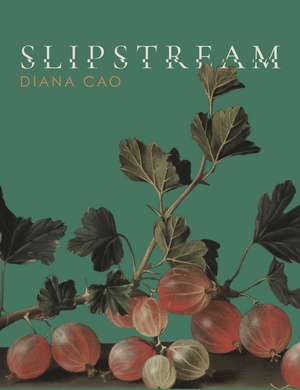 Slipstream de Diana Cao