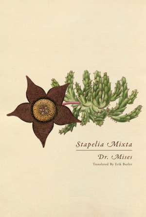 Stapelia Mixta de Mises