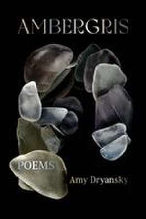 Ambergris de Amy Dryansky